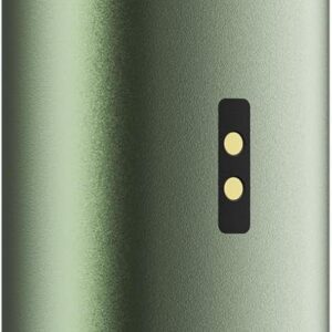 PAX Mini 2 greenstone