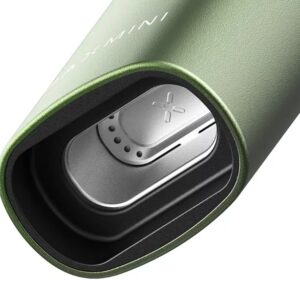 PAX Mini 2 greenstone